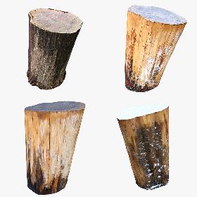 Tree Stump Collection 06 3D model
